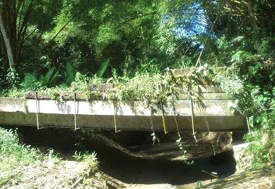 Foto del diario El Siglo (11/06/13)